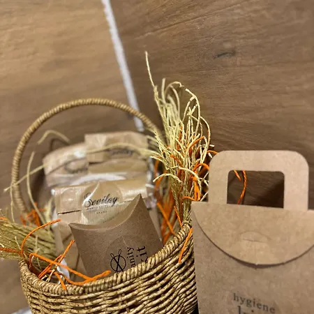 Hotel Sevilay Hanim *