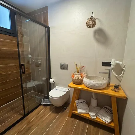 Sevilay Hanim 호텔 *